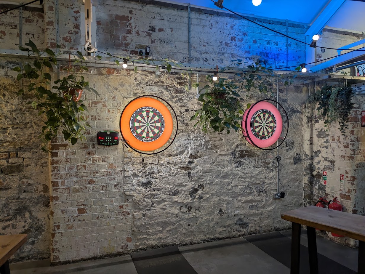 Two of the dartboards. Mounted on a brick wall with some greenery dangling around them